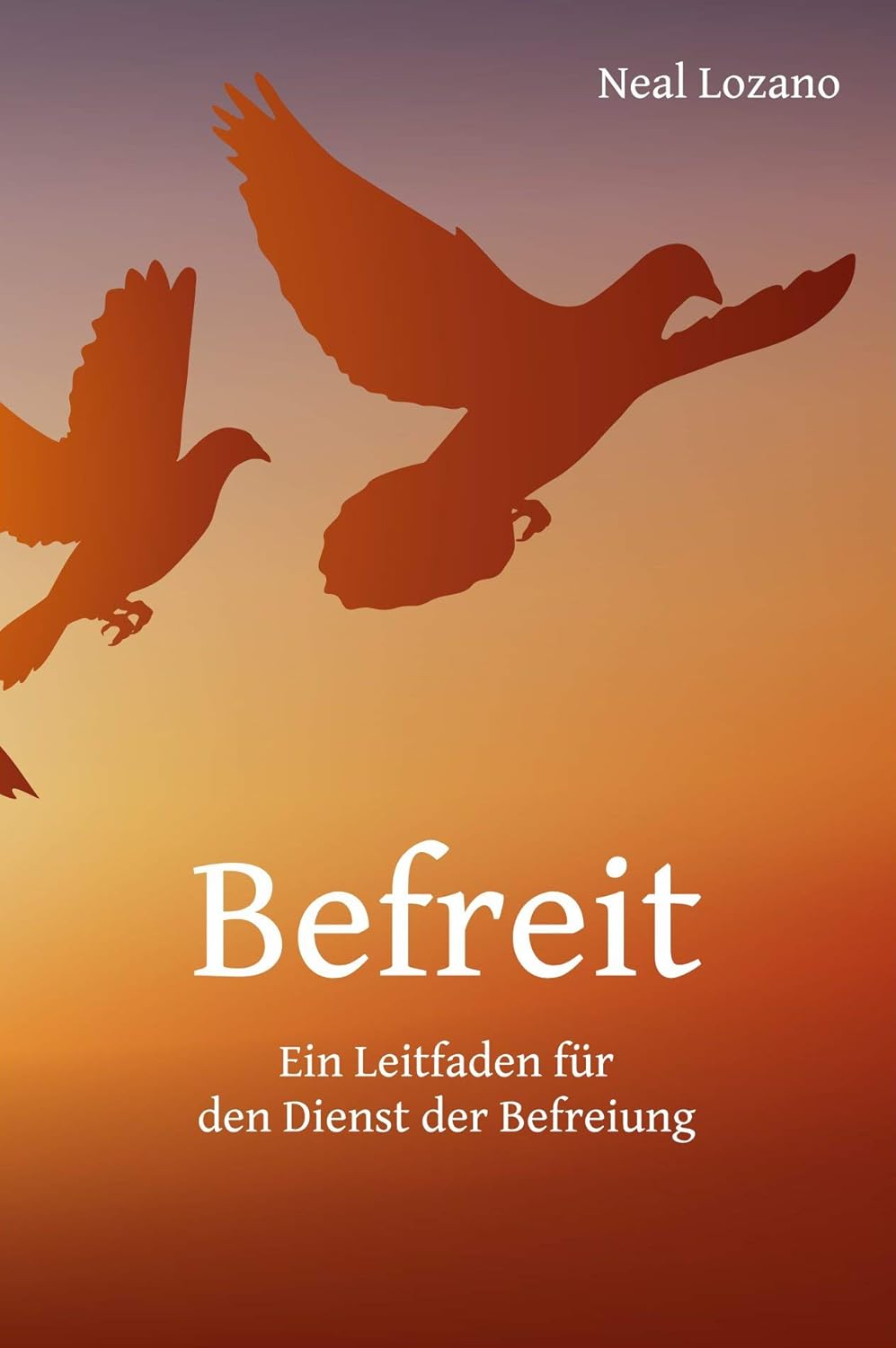 Befreit – Ein Leitfaden für den Dienst der Befreiung