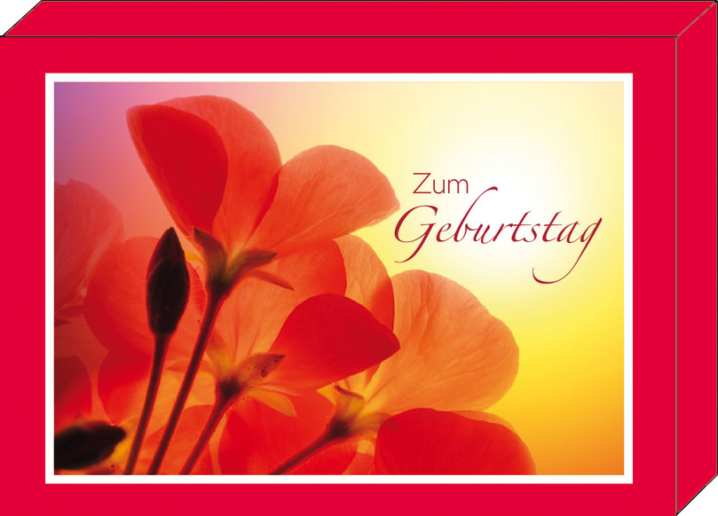Karten „Zum Geburtstag“